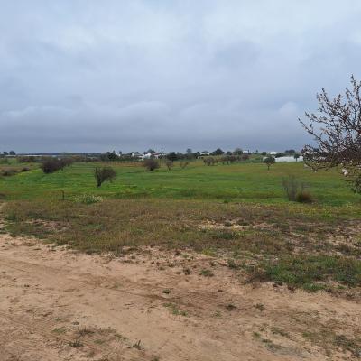 Fincanto Finca Andalusien 10h Land 121918