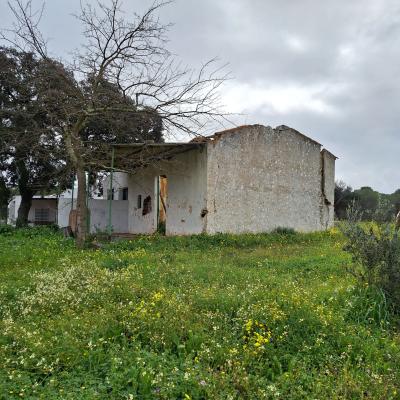 Fincanto Finca Andalusien 10h Land 121924