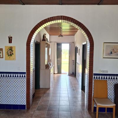 Fincanto Finca Andalusien 7000m2 111543