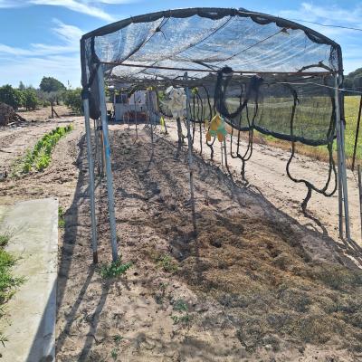 Fincanto Finca Andalusien 7000m2 112103