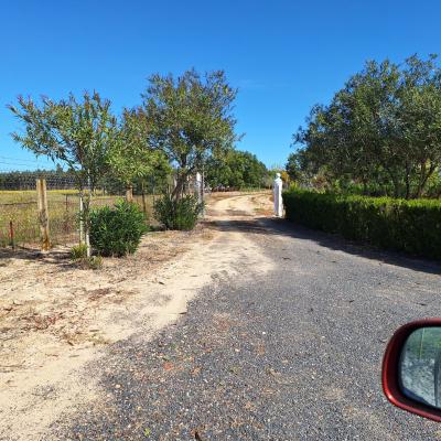 Fincanto Finca Andalusien 7000m2 114011
