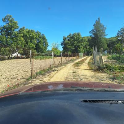 Fincanto Finca Andalusien 7000m2 114037
