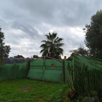 Fincanto Finca Andalusien 5000m2 131454