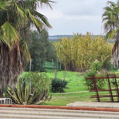 Fincanto Finca Andalusien 5000m2 132417