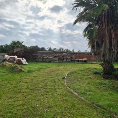 Fincanto Finca Andalusien 5000m2 132951