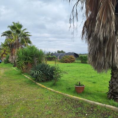 Fincanto Finca Andalusien 5000m2 133012