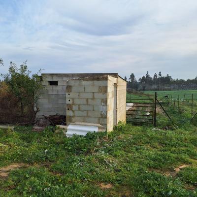 Fincanto Finca Andalusien 2ha 100434