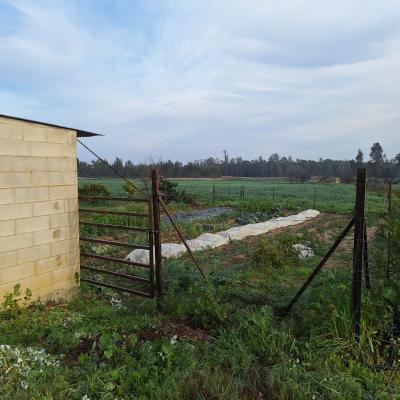 Fincanto Finca Andalusien 2ha 100446