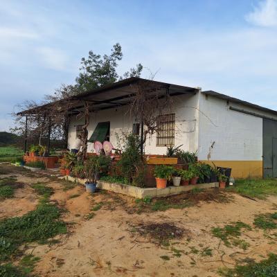 Fincanto Finca Andalusien 2ha 100455