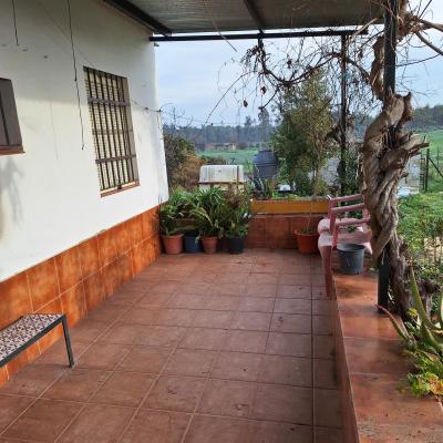 Fincanto Finca Andalusien 2ha 100511