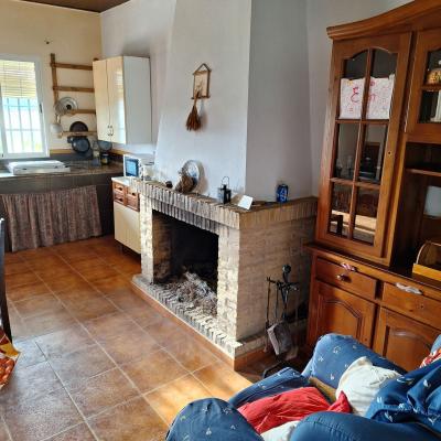 Fincanto Finca Andalusien 2ha 100703