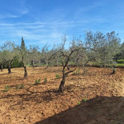 Fincanto Finca Nr.11 Pachtland Haus 153603