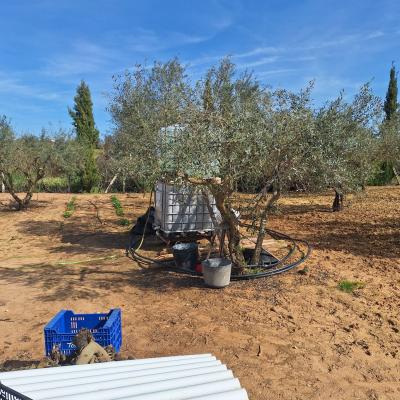 Fincanto Finca Nr.11 Pachtland Haus 153918