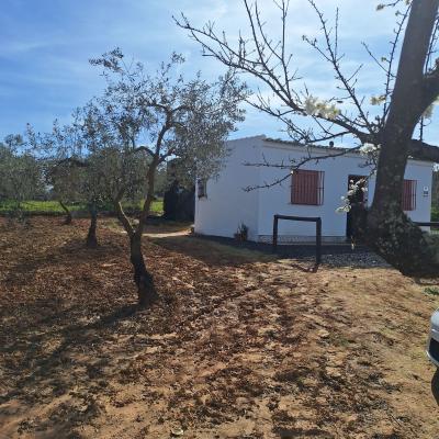 Fincanto Finca Nr.11 Pachtland Haus 153930