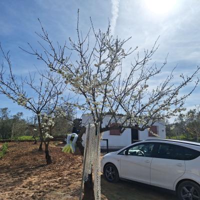 Fincanto Finca Nr.11 Pachtland Haus 153939