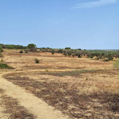 Finca Grande 2023 08 23