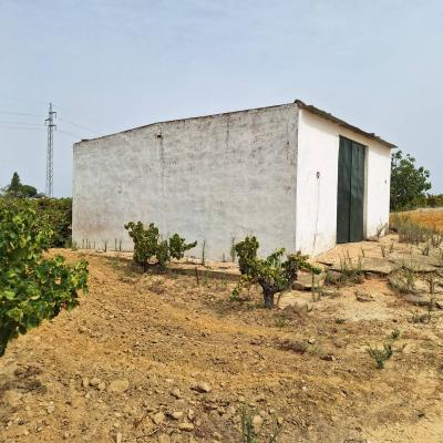 Finca Tierra Amplia 2023 07 426