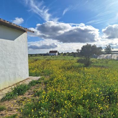 Fincanto Finca Andalusien Rohbau 164015